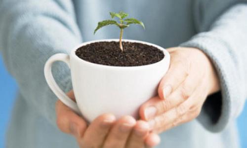 Не спешите выкидывать кофейную гущу - и вот почему