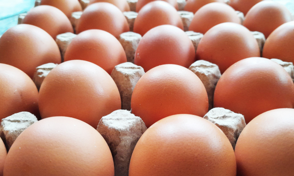 Как проверить свежесть куриных яиц, не разбивая скорлупу: самый простой способ
